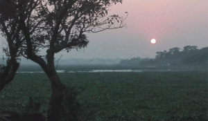 Untitled-1