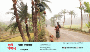 royal-news-suvo-sokal-forme