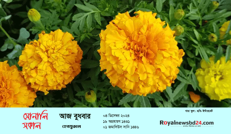 royal-news-suvo-sokal-forme