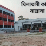 ঘিলাতলী কামিল মাদ্রাসার ২০২৩ সালের ফাজিল পরীক্ষায় শতভাগ পাশ